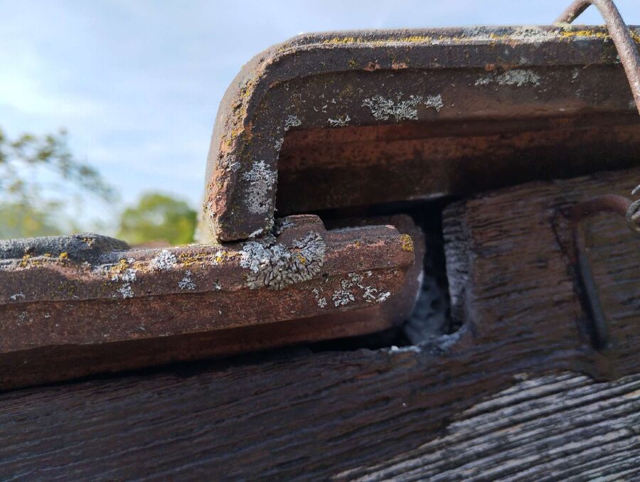 nid d abeille que faire