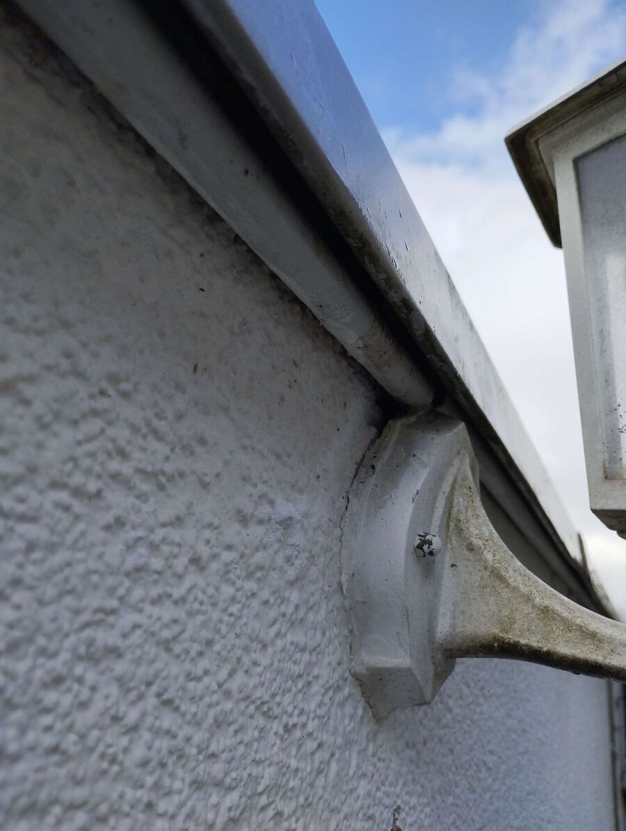 essaim d abeille enlevement