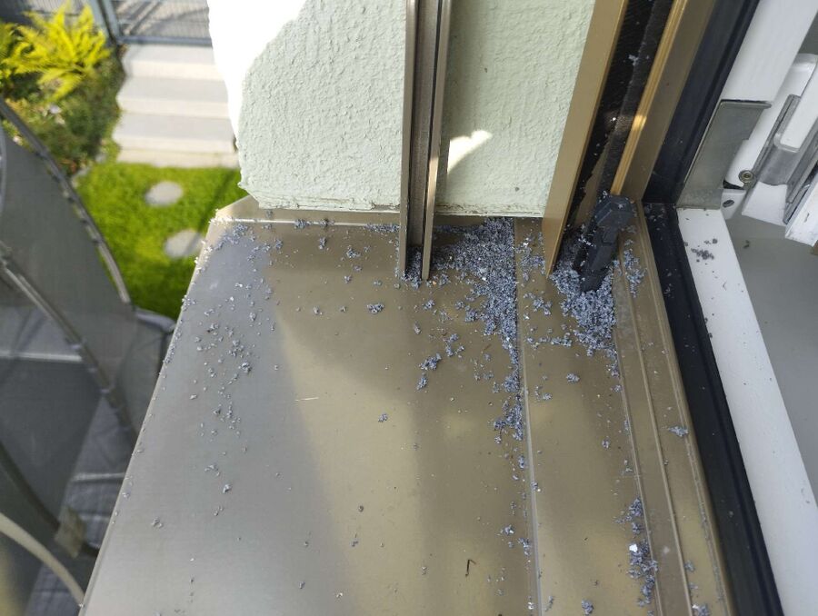 ruche abeille maison que faire