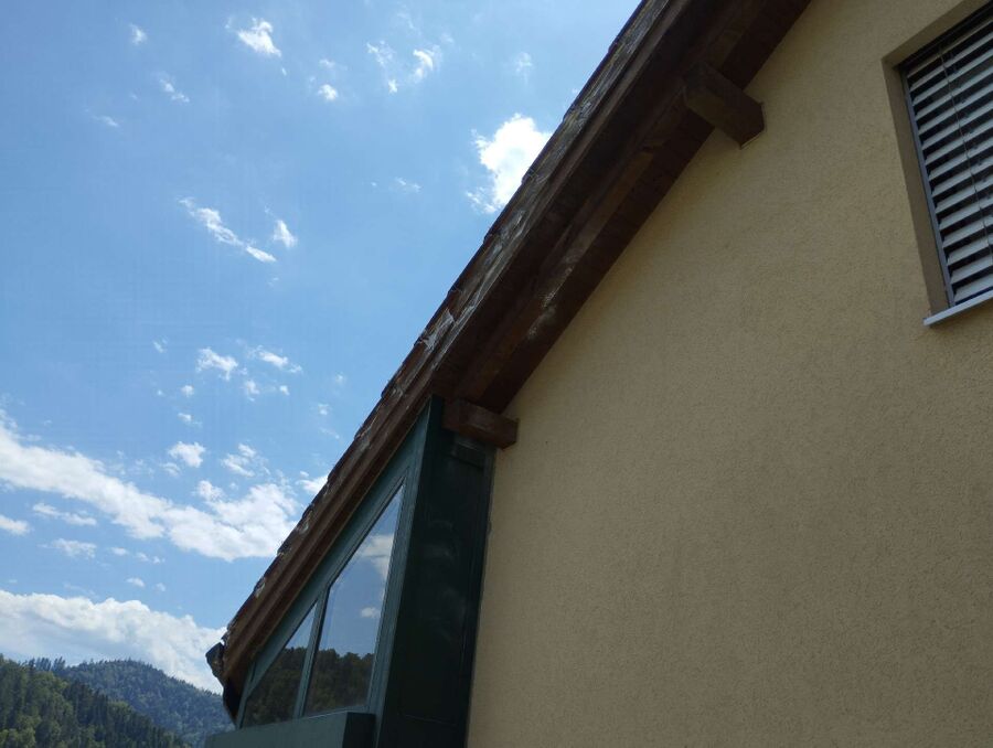 essaim d abeille enlevement