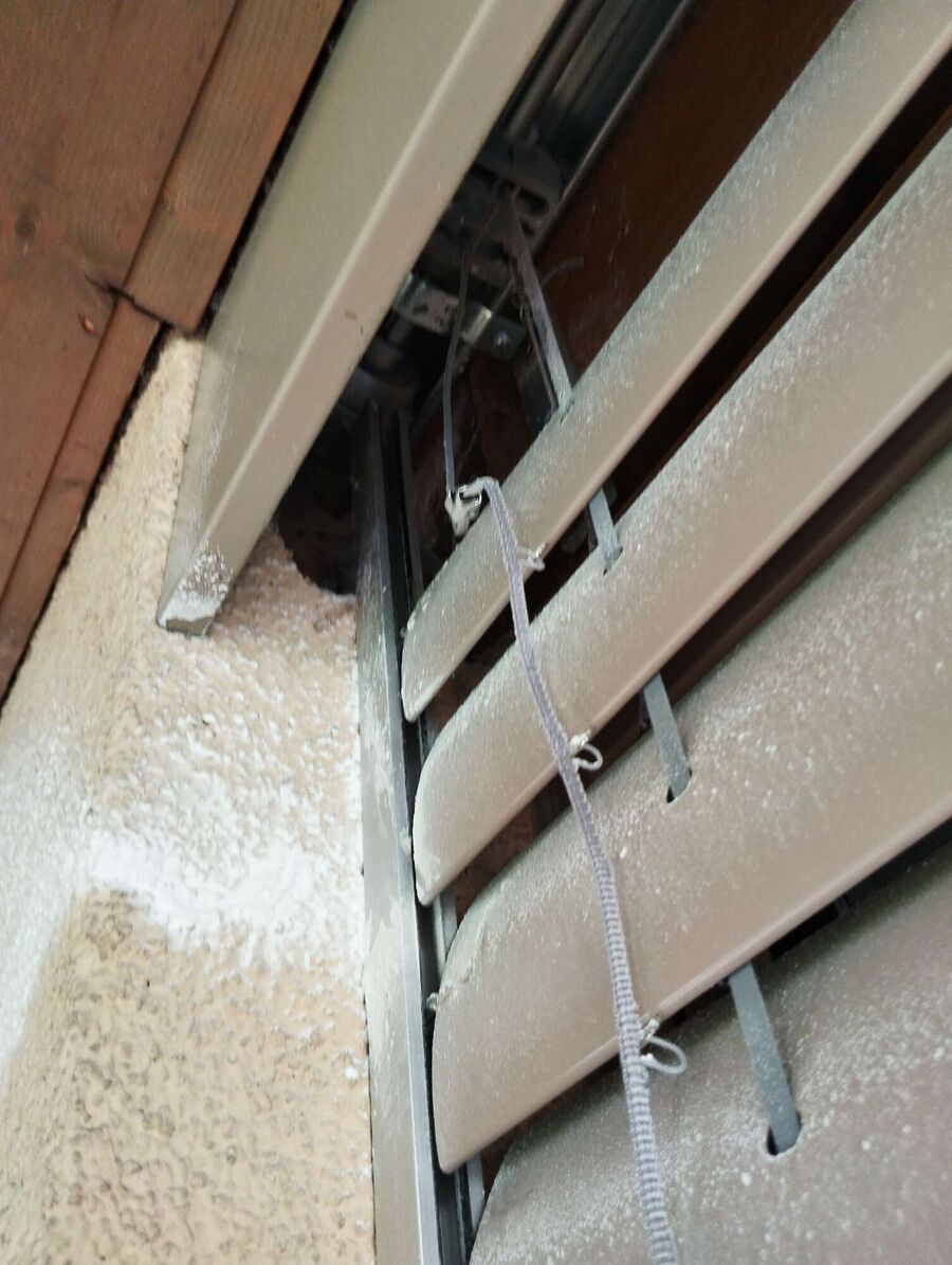 essaim d abeille enlevement