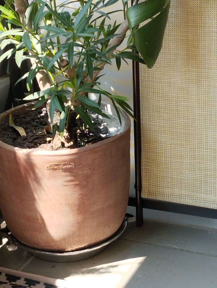 enlever un nid d abeille