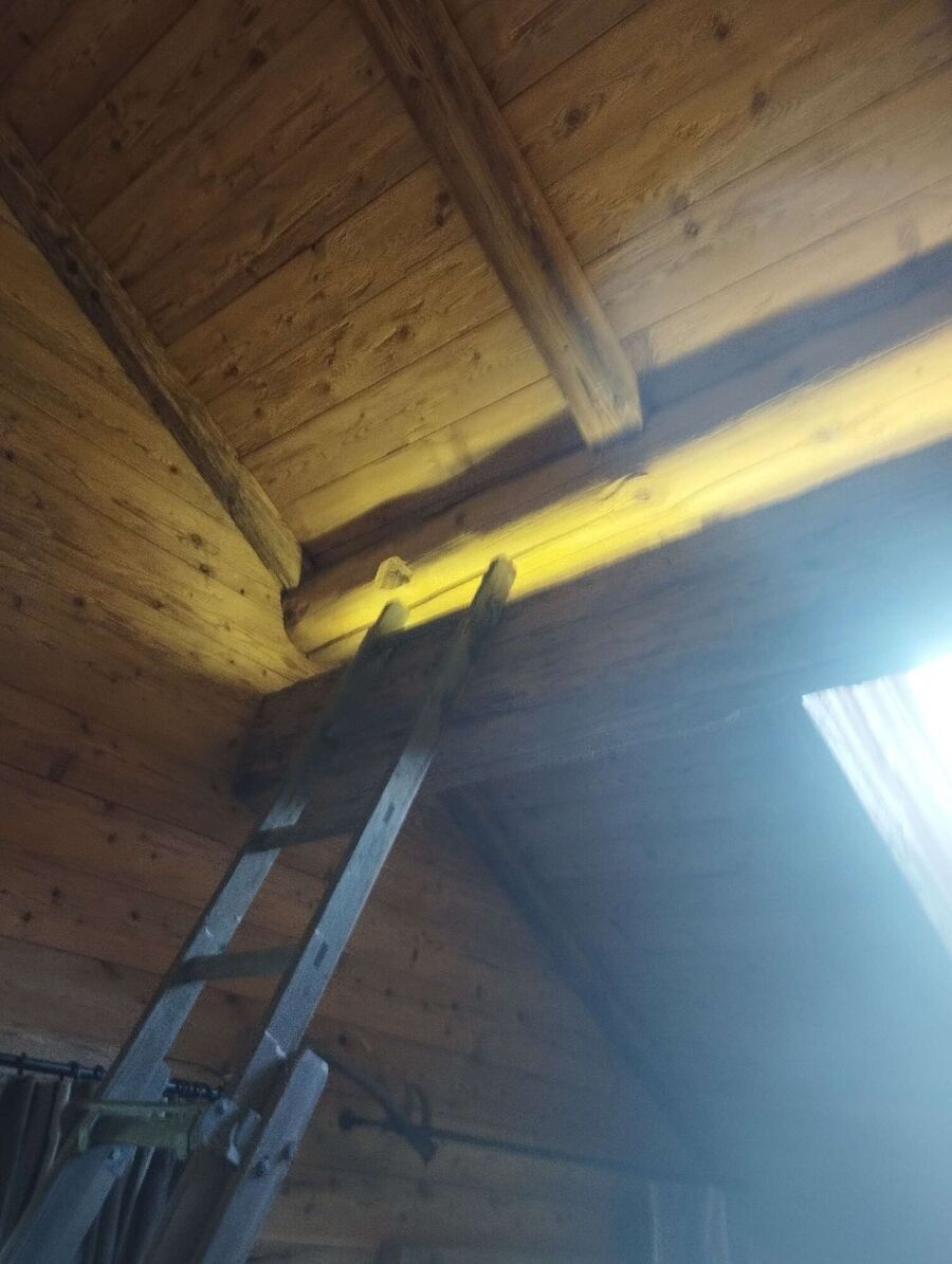 ruche abeille maison que faire