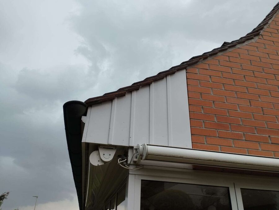 ruche abeille maison que faire