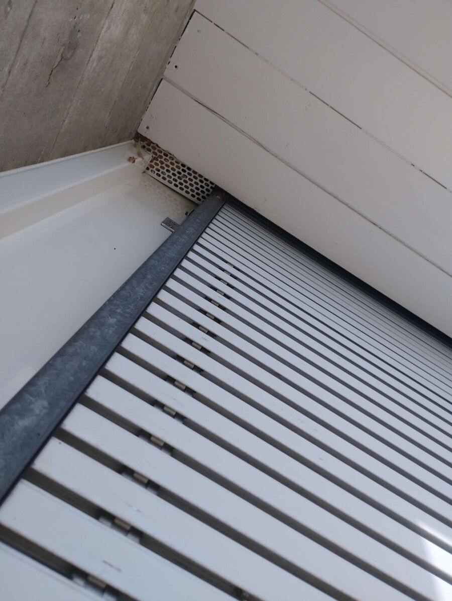 essaim d abeille enlevement