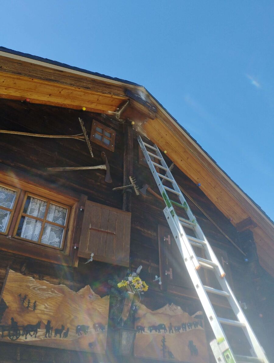 nid d abeille que faire