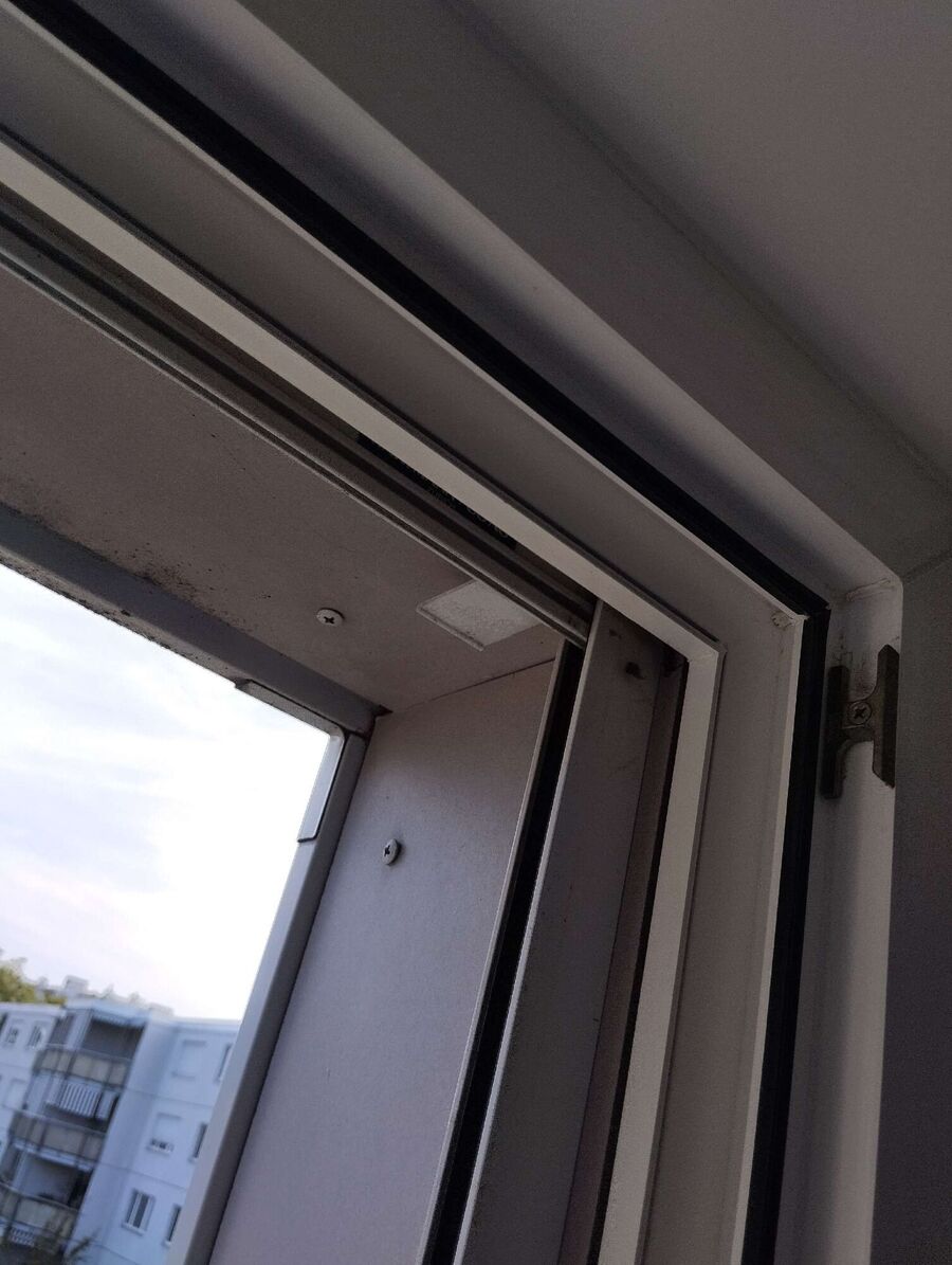 essaim d abeille enlevement