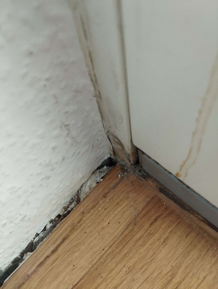 enlever un nid d abeille