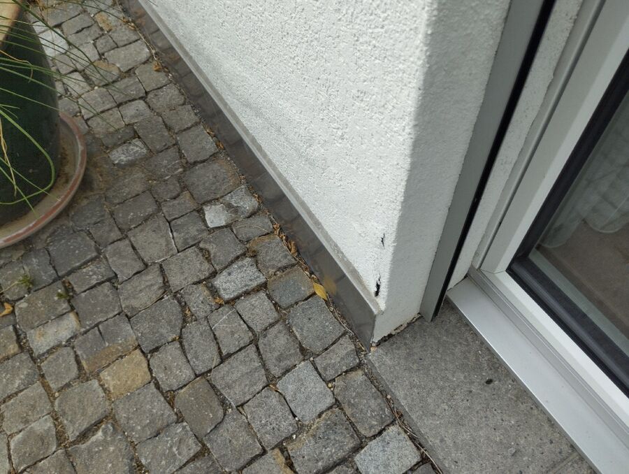 nid d abeille que faire