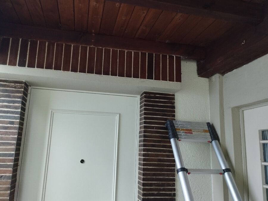 ruche abeille maison que faire