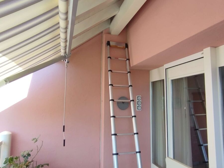 ruche abeille maison que faire