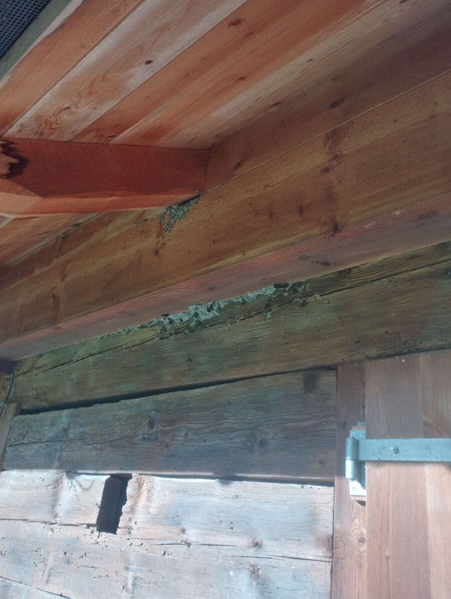 enlever un nid d abeille