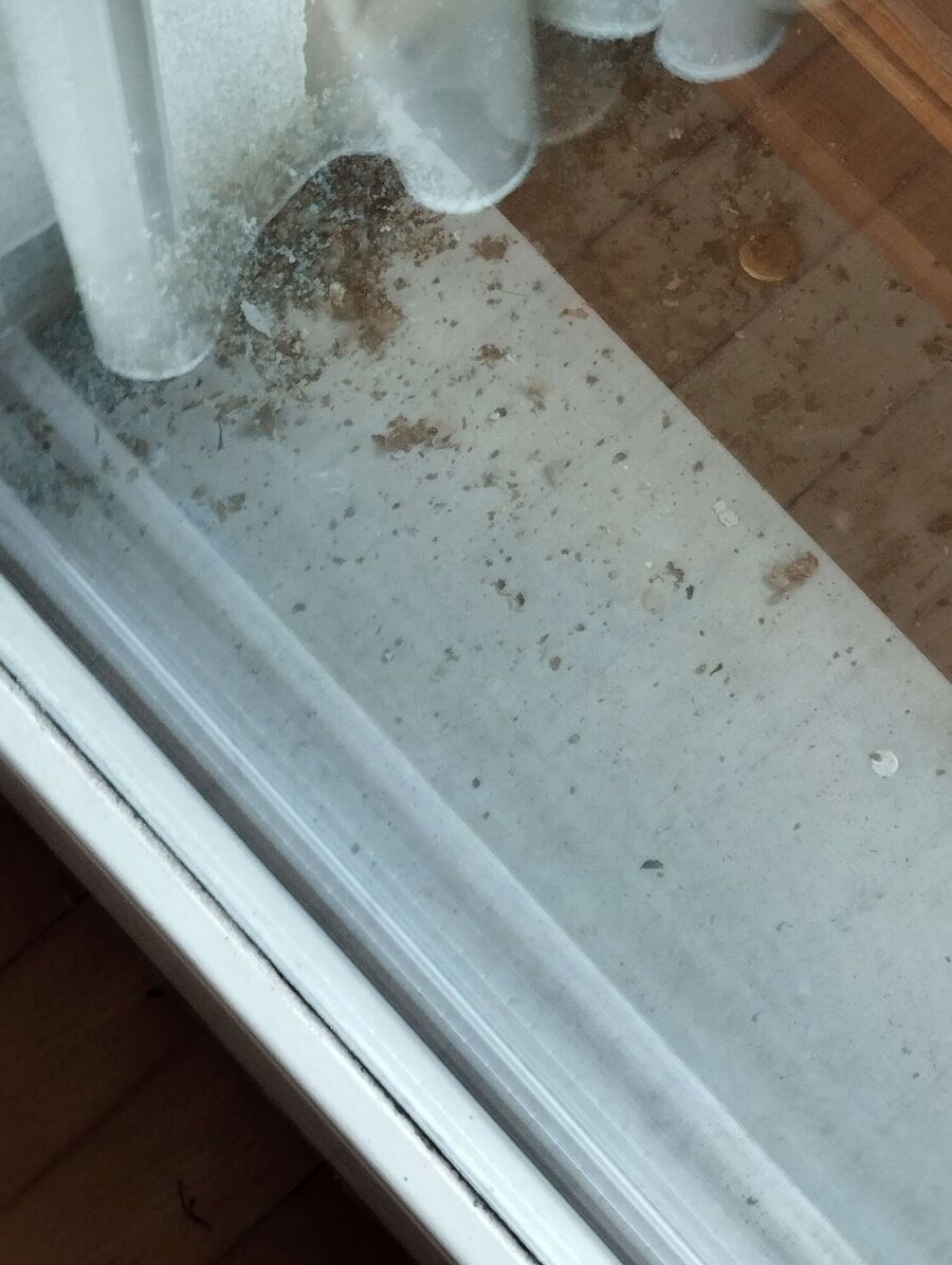 enlever un nid d abeille