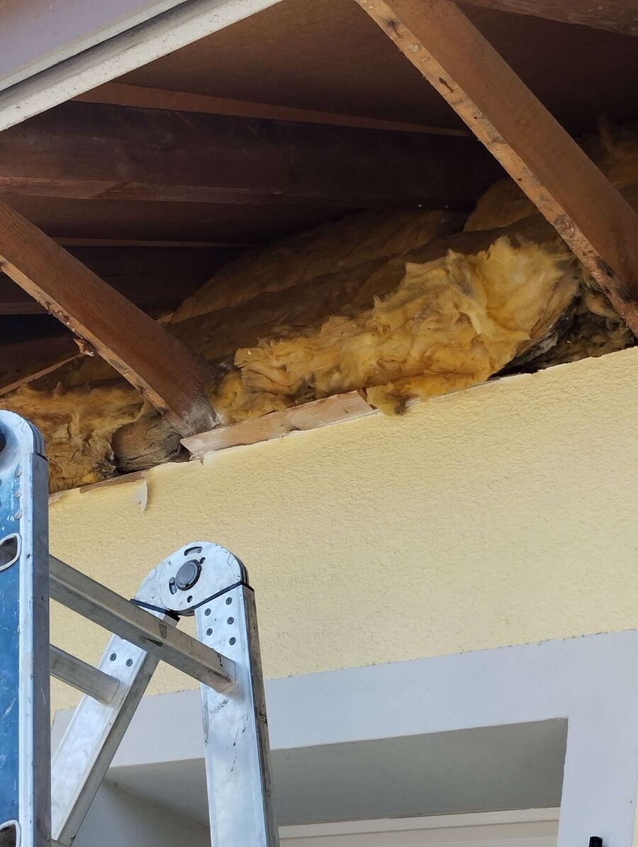 nid d abeille que faire