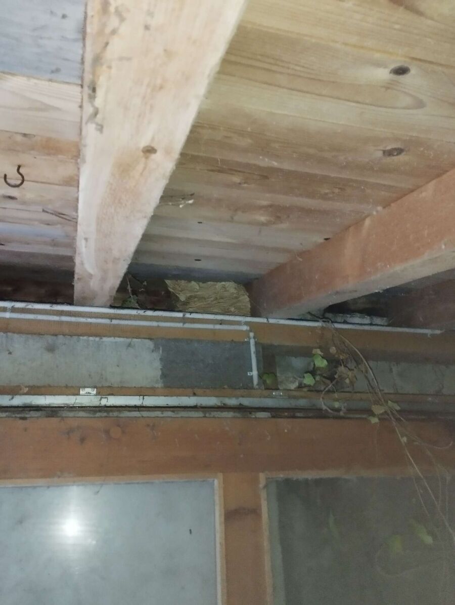 ruche abeille maison que faire