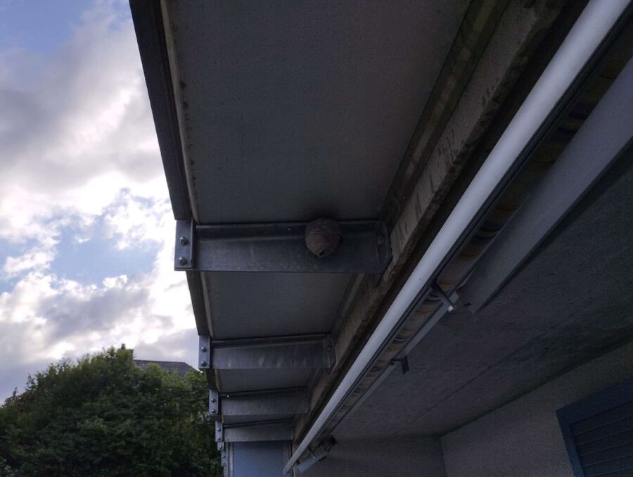 enlever un nid d abeille