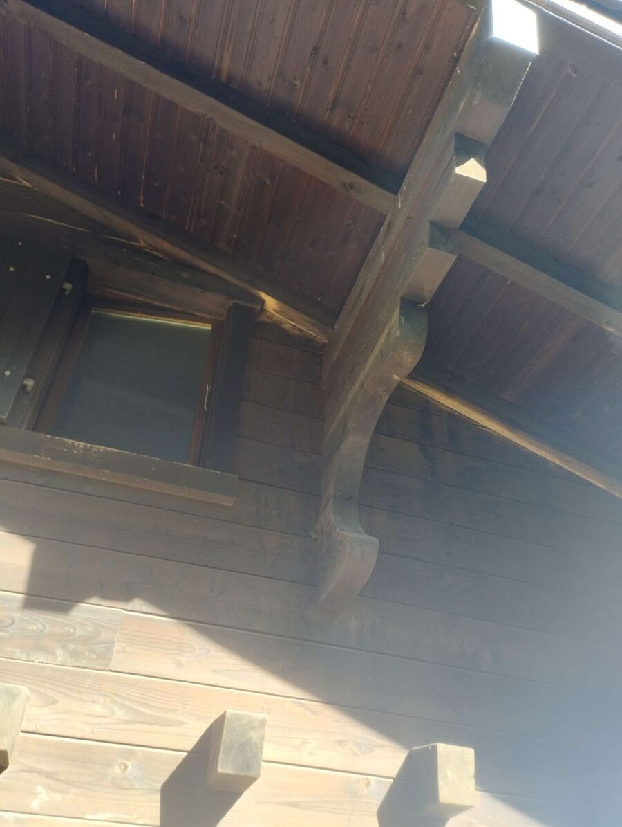 ruche abeille maison que faire