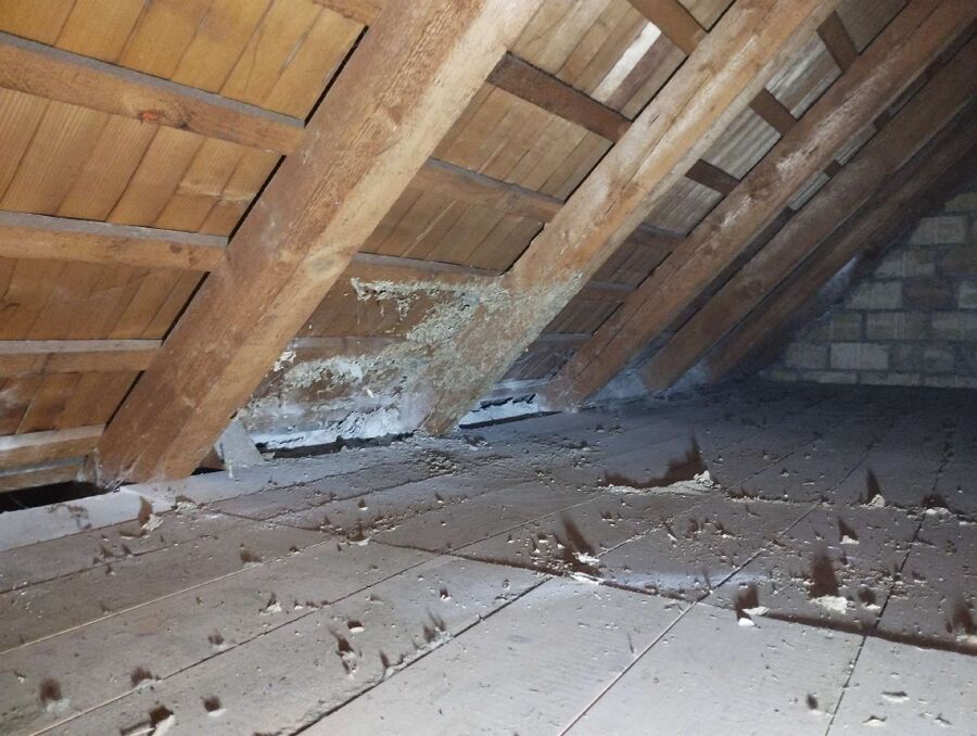 nid d abeille que faire