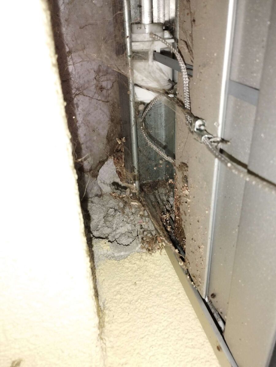 ruche abeille maison que faire