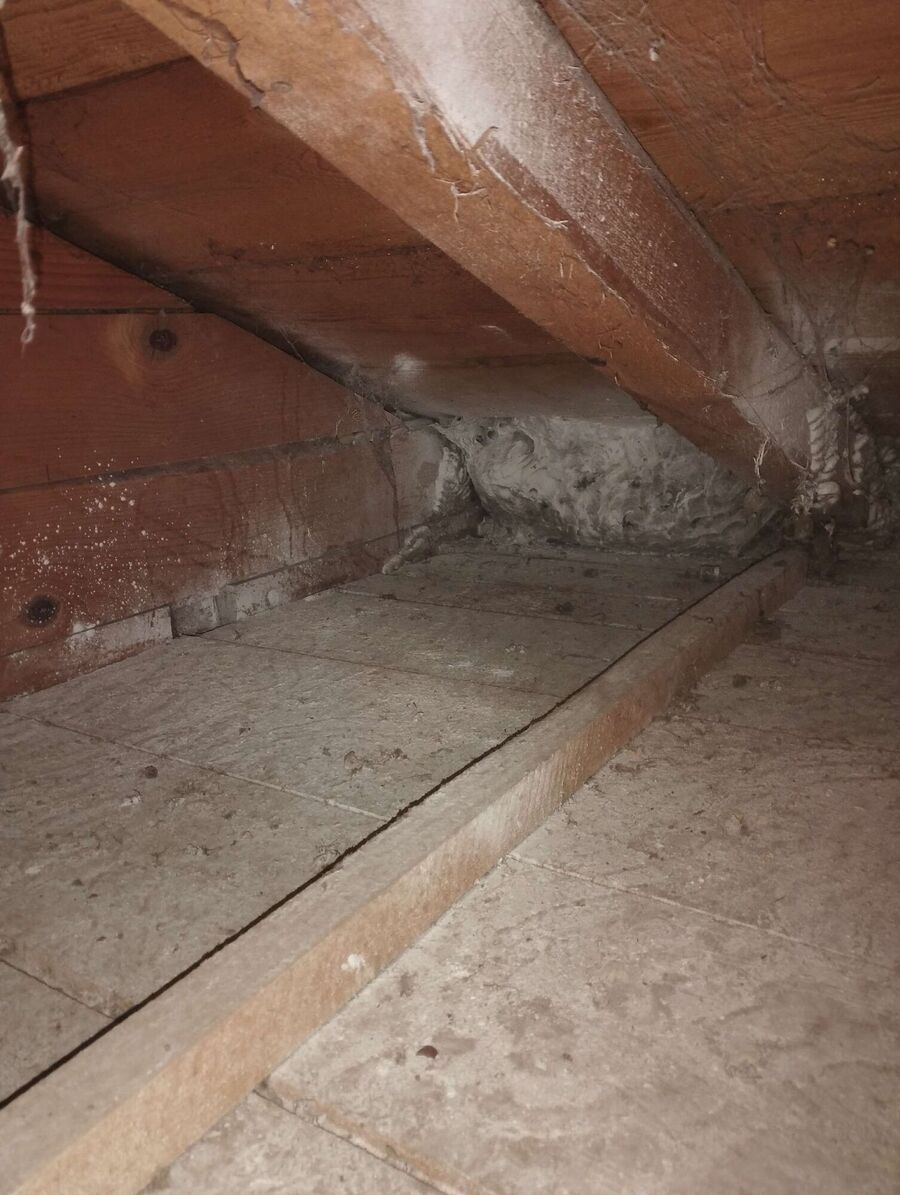 nid d abeille que faire