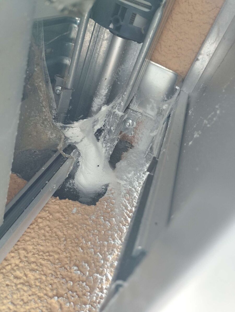 essaim d abeille enlevement