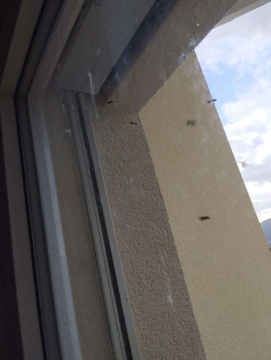 enlever un nid d abeille