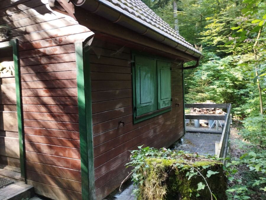 enlever un nid d abeille