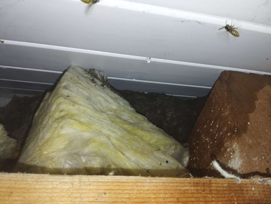 enlever un nid d abeille