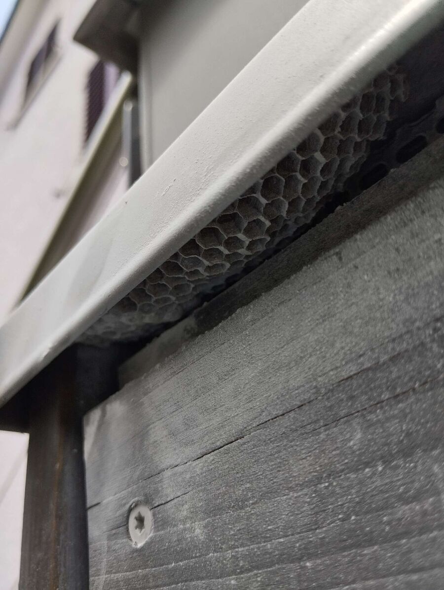 essaim d abeille enlevement