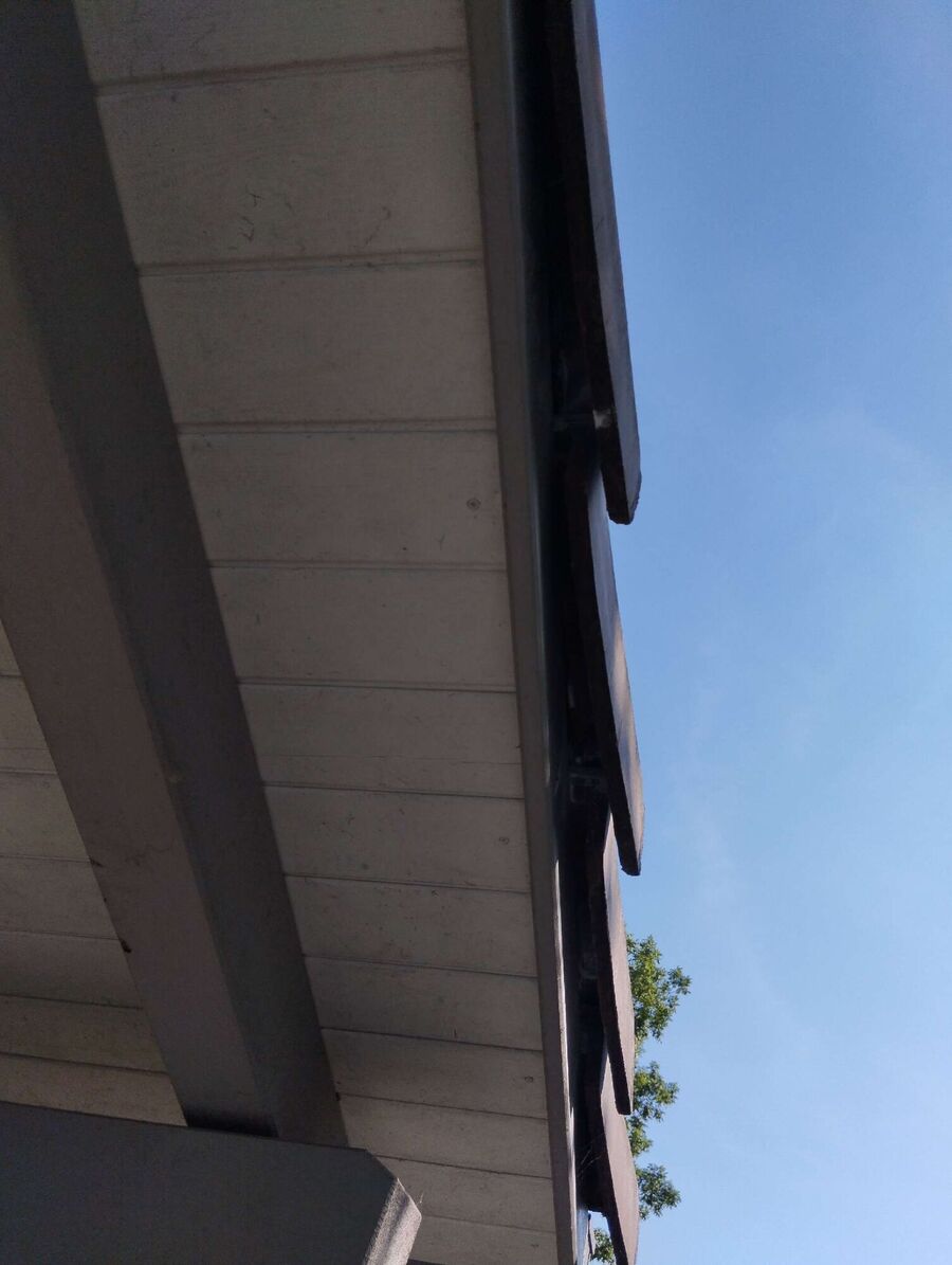 enlever un nid d abeille