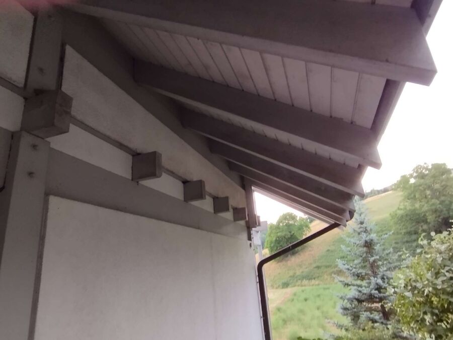 ruche abeille maison que faire