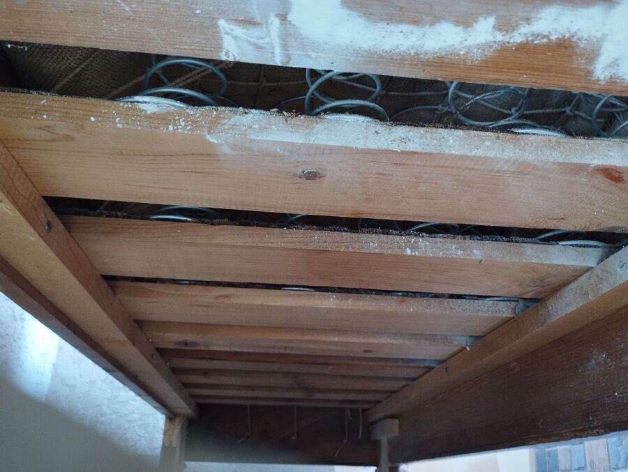 essaim d abeille enlevement