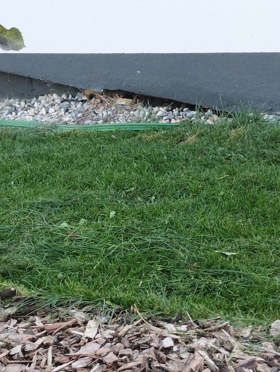 ruche abeille maison que faire