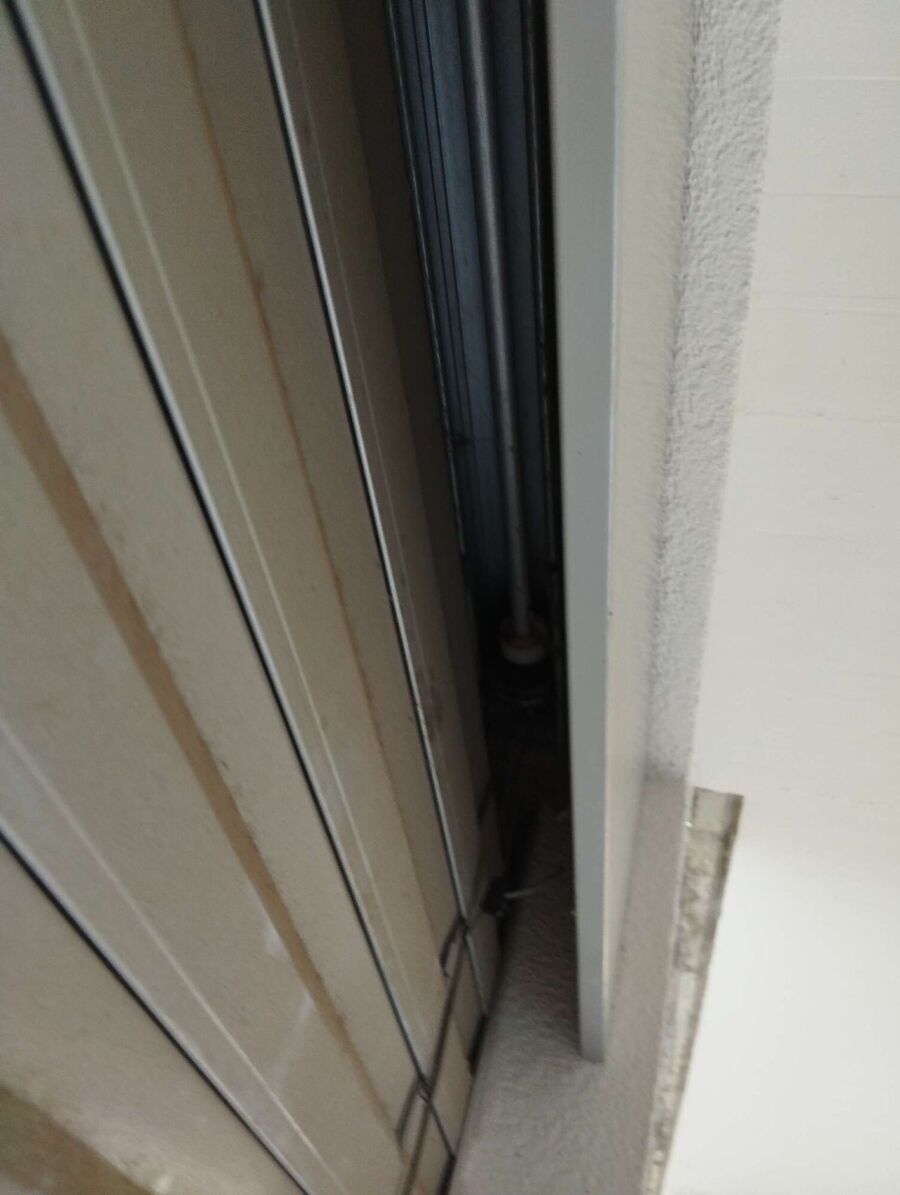 ruche abeille maison que faire