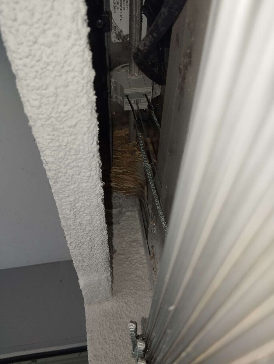 nid d abeille que faire