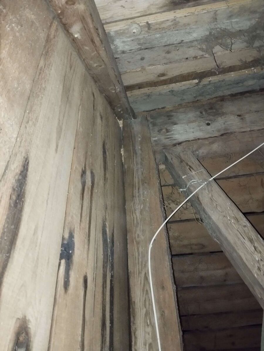 ruche abeille maison que faire