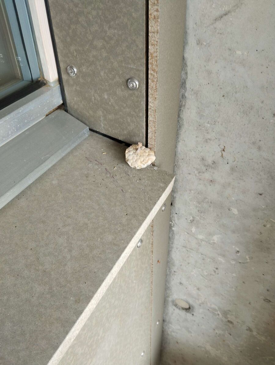 nid d abeille que faire