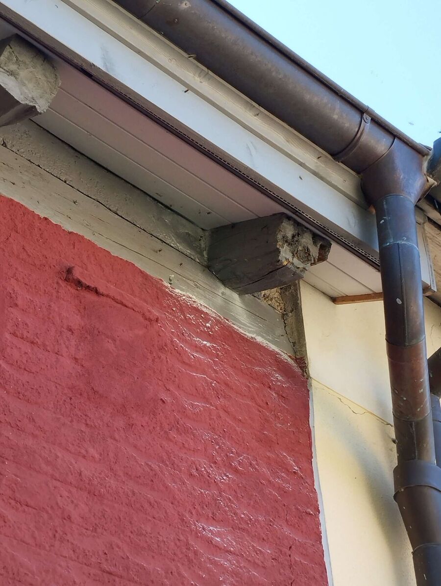 enlever un nid d abeille