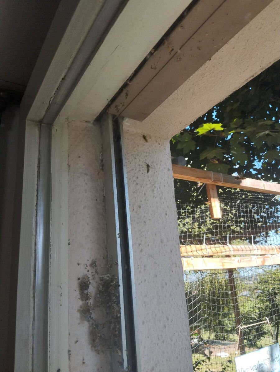 enlever un nid d abeille