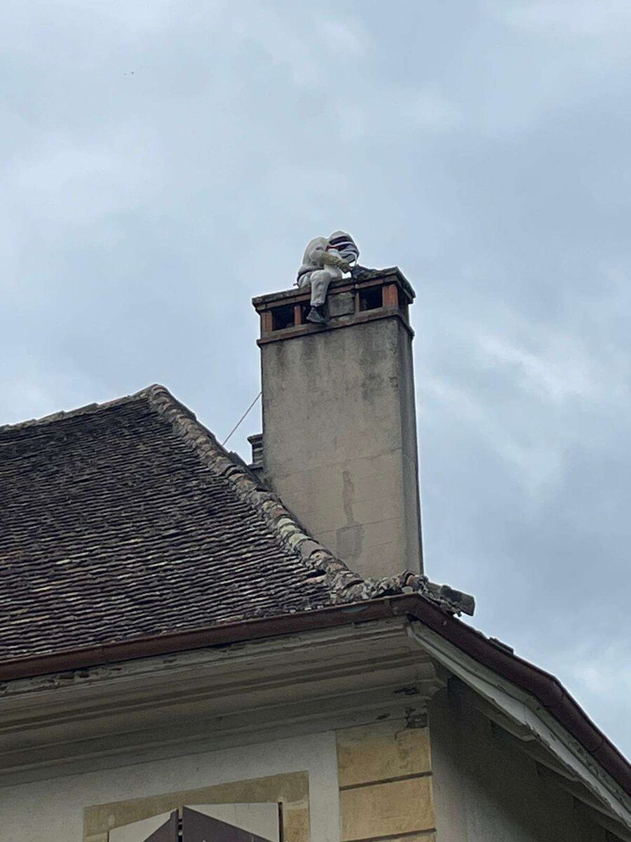 nid d abeille que faire