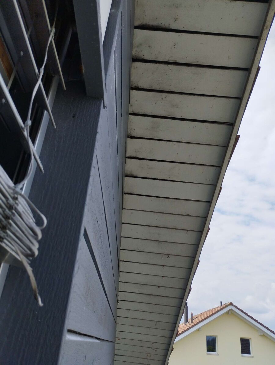 enlever un nid d abeille