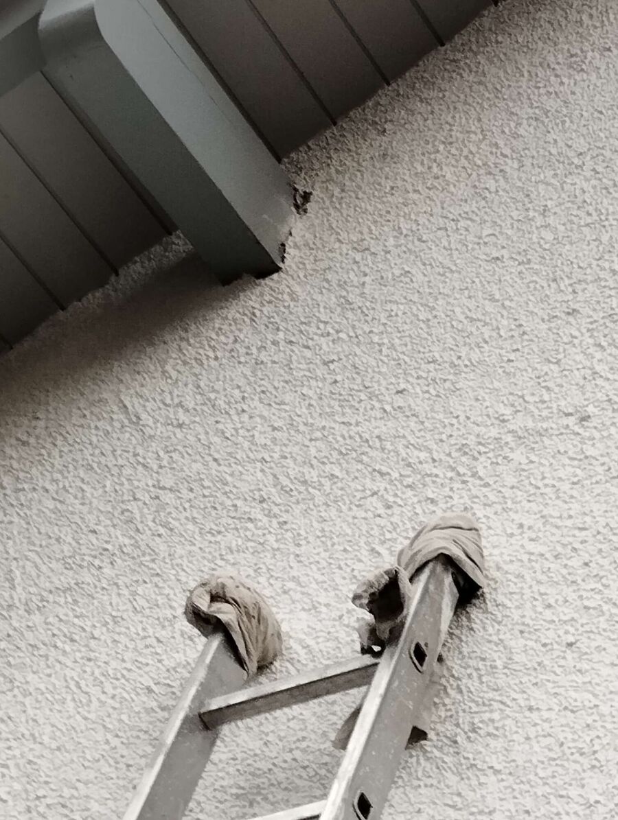 essaim d abeille enlevement