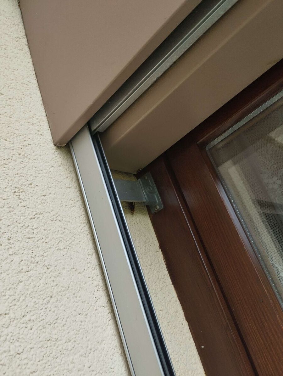 essaim d abeille enlevement