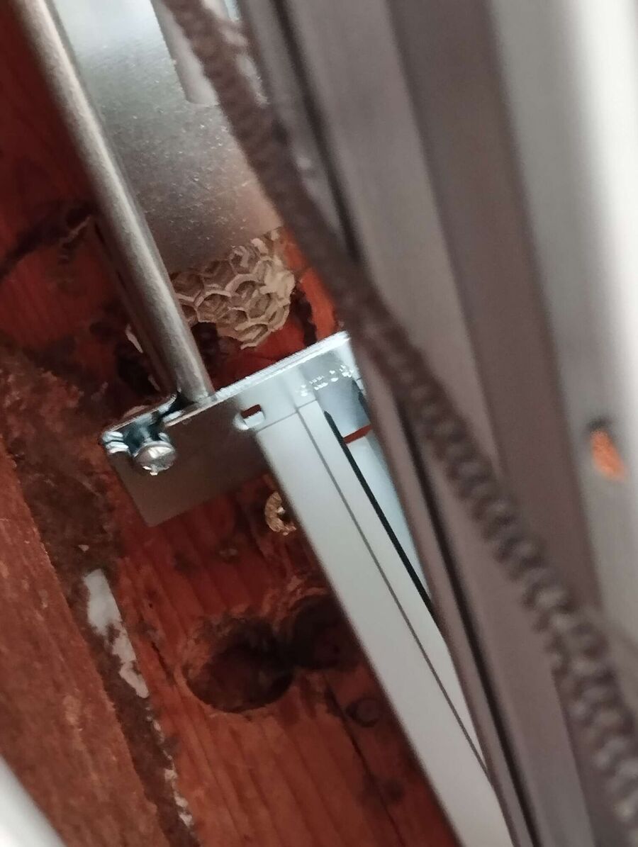 enlever un nid d abeille