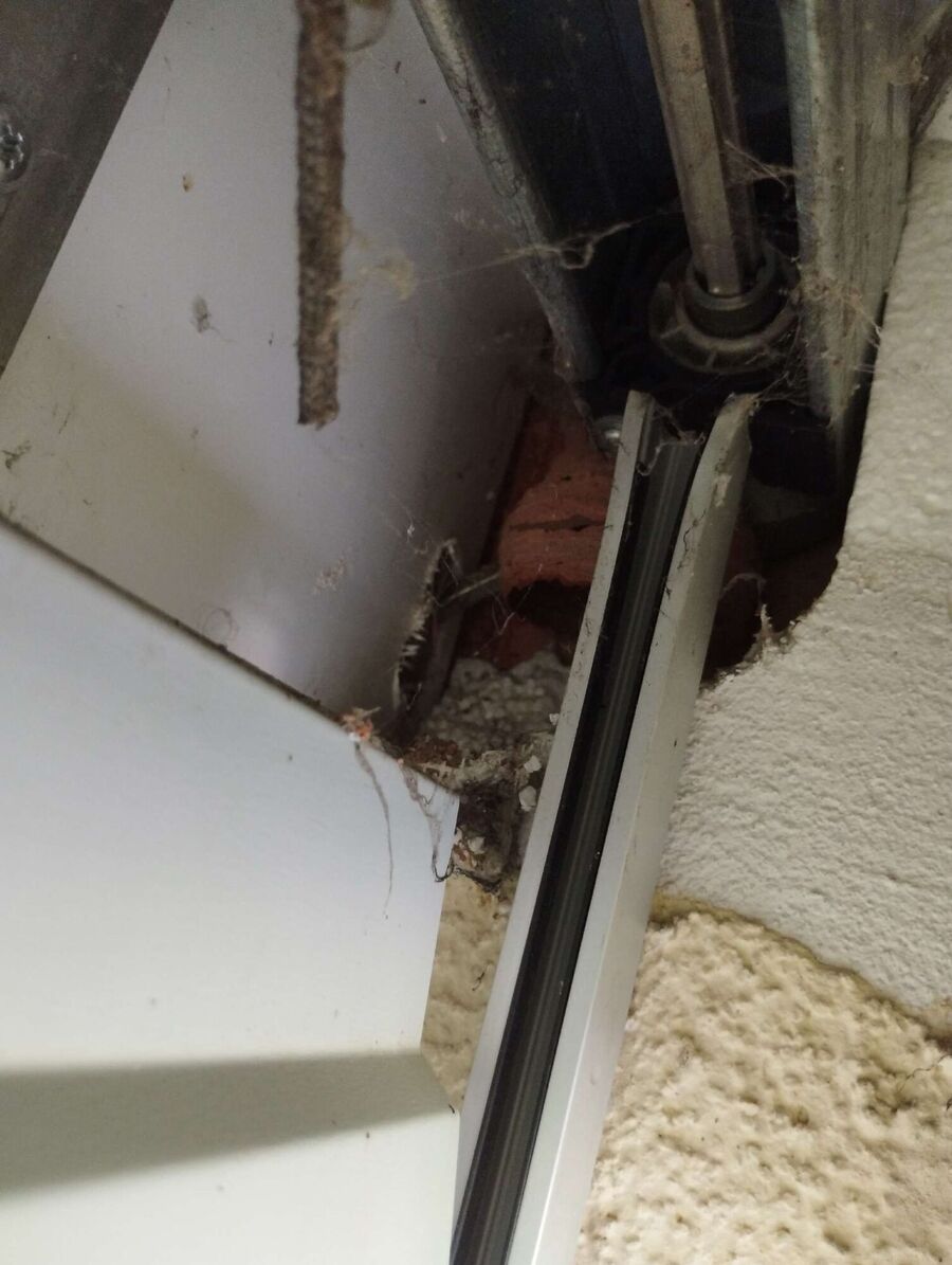 essaim d abeille enlevement