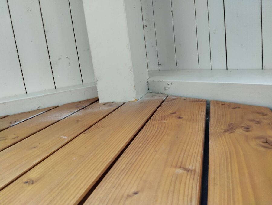 essaim d abeille enlevement