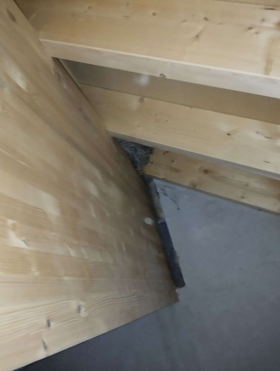 ruche abeille maison que faire