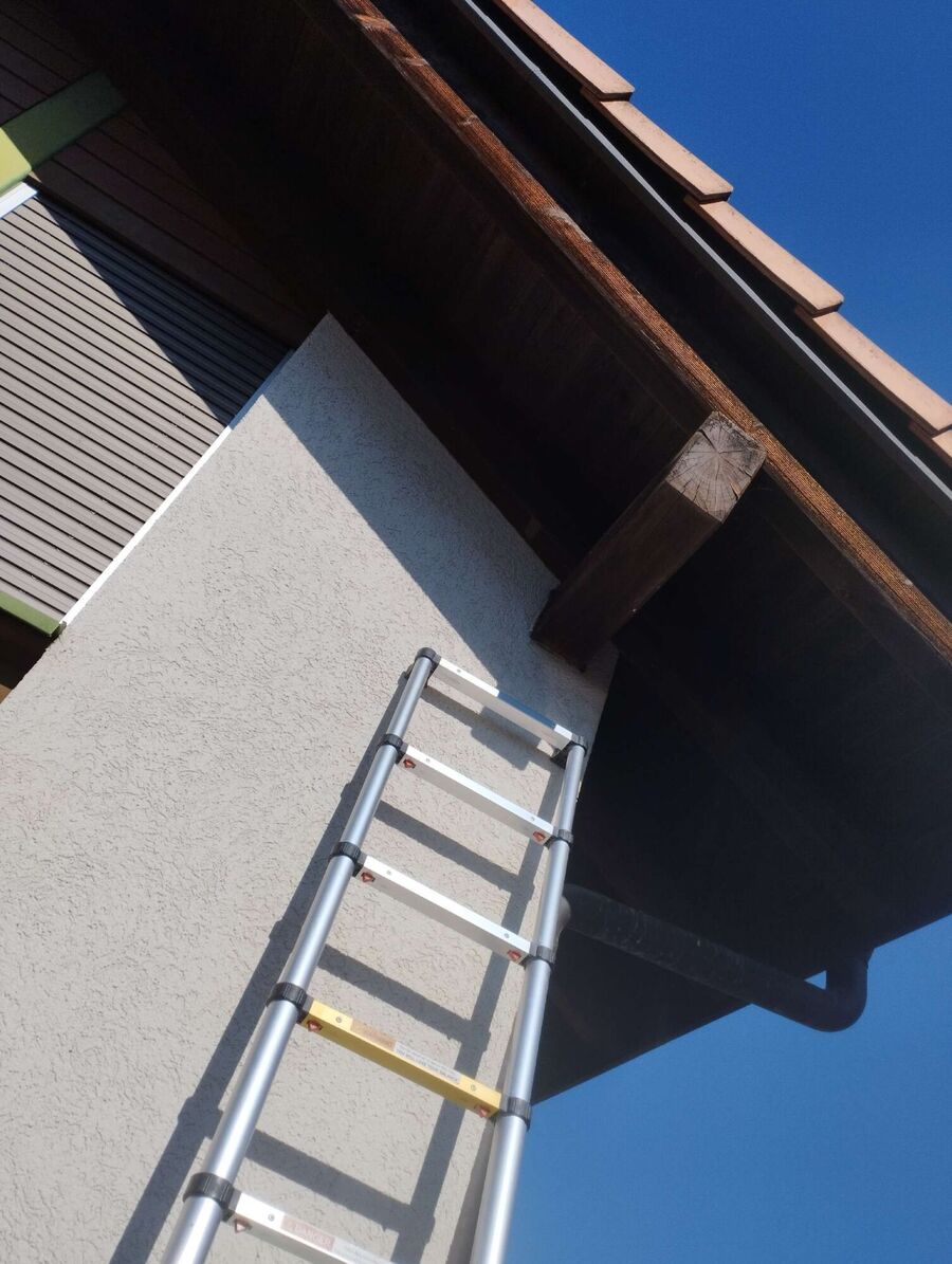 essaim d abeille enlevement