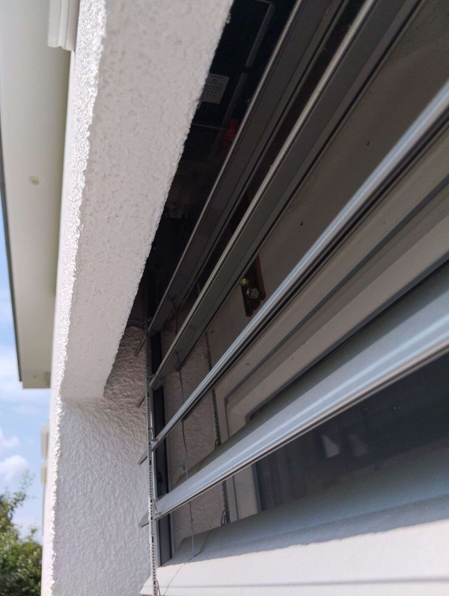 ruche abeille maison que faire