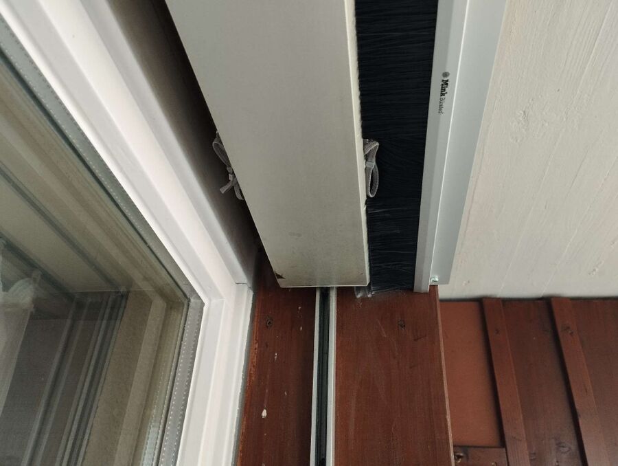 essaim d abeille enlevement